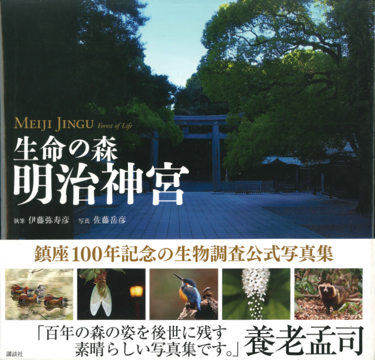 生命の森 明治神宮
