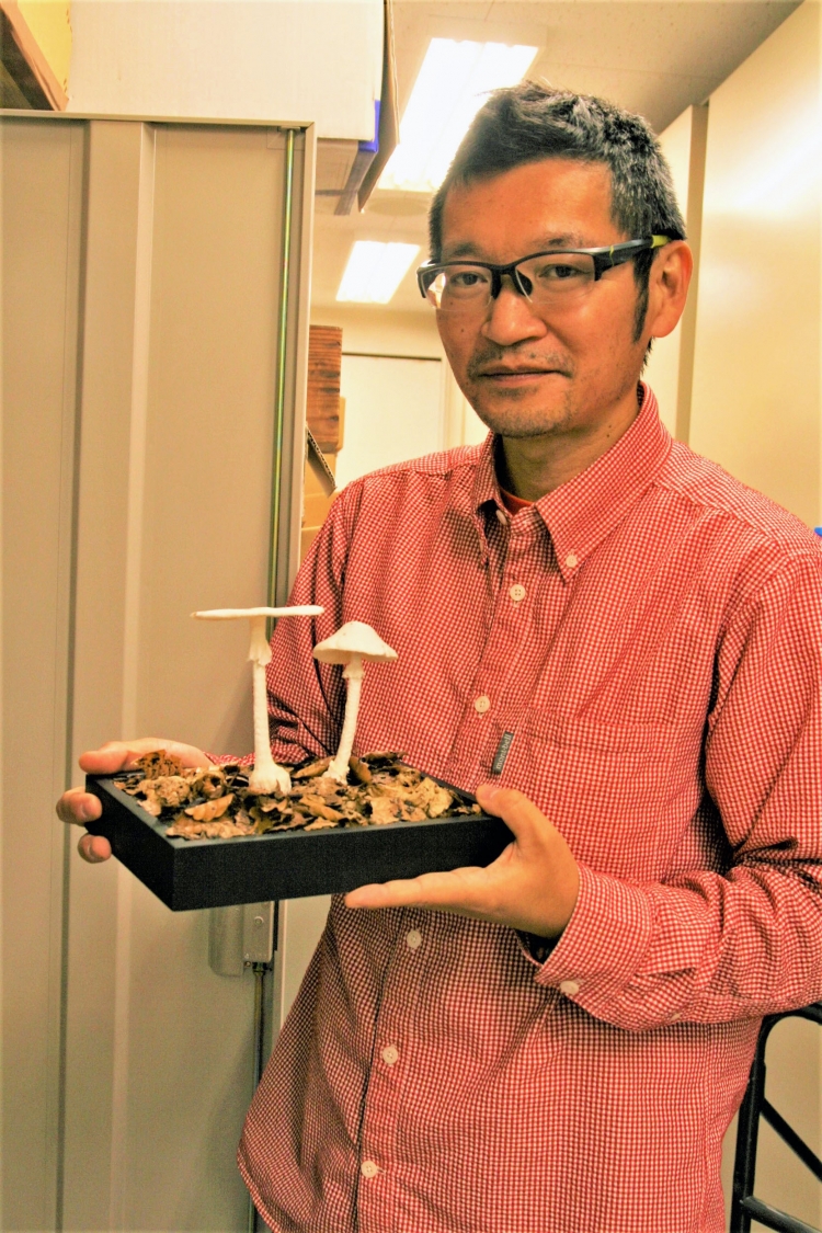 ・代々木の杜のきのこのはなし 保坂健太郎