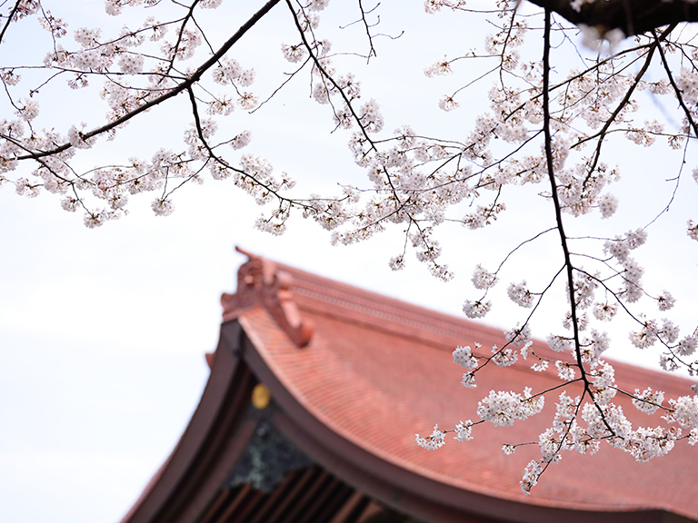 About Meiji Jingu