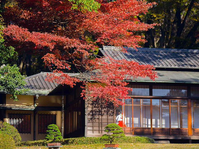 About Meiji Jingu