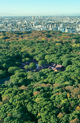 Establishment of Meiji Jingu