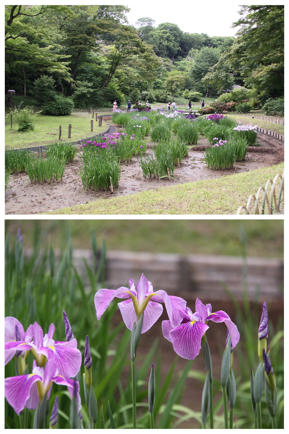 ６月２日（月）