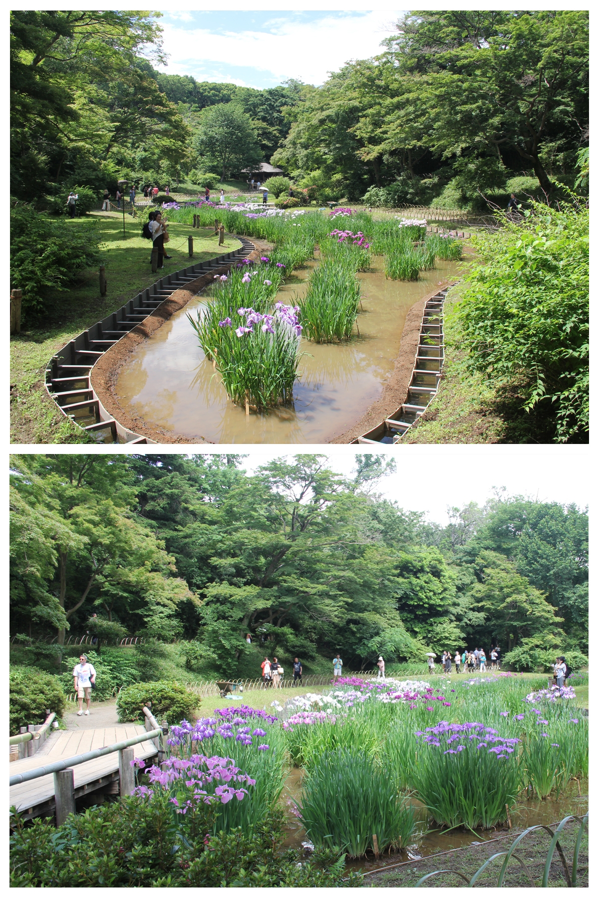 ６月４日（水）
