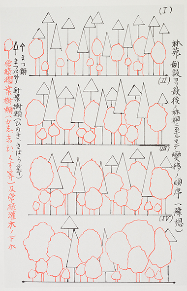 照葉樹が主木