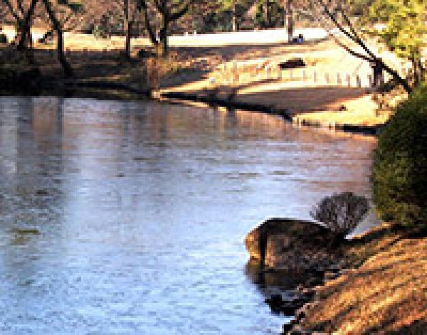 池の結氷(北池)