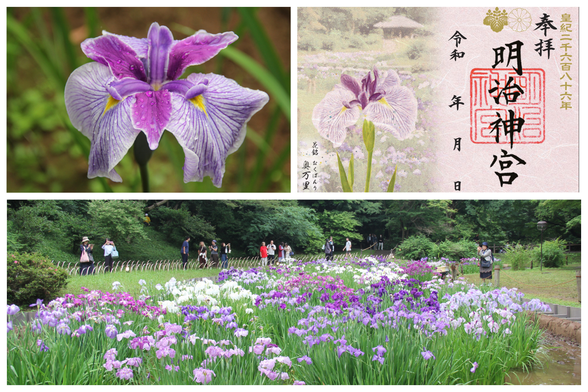 ６月９日（火）